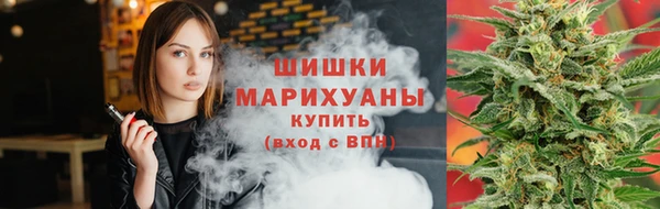 бошки Белокуриха