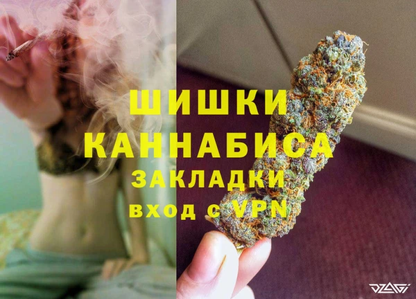бошки Белокуриха