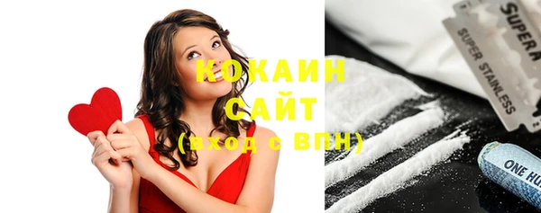 бошки Белокуриха