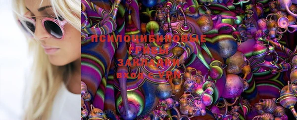 бошки Белокуриха