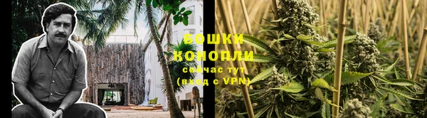 бошки Белокуриха