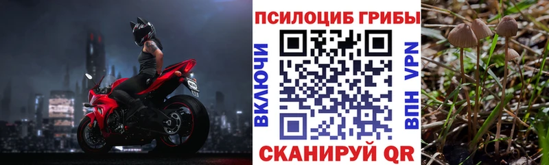 Псилоцибиновые грибы MAGIC MUSHROOMS  Купить  Краснодар 